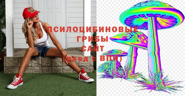 apvp Алексеевка
