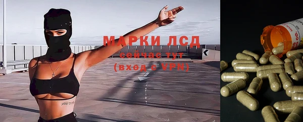 ешки Алексин