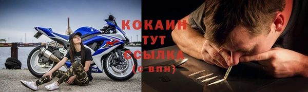 ешки Алексин