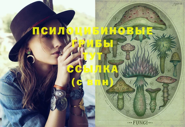 ешки Алексин