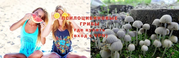 винт Алзамай